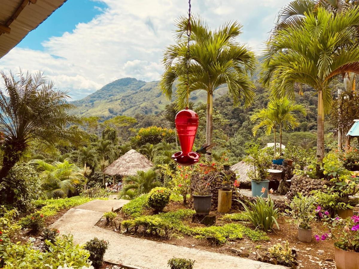 Ecohotel Campo Alegre Norcasia Caldas Exteriör bild